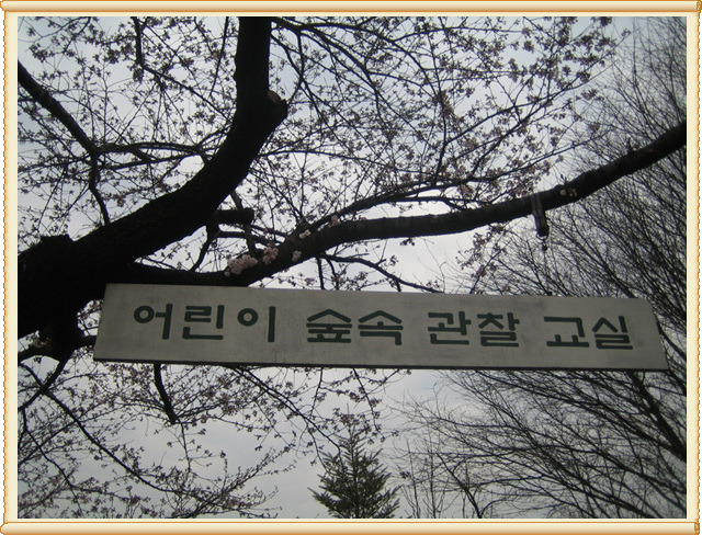 녹지관리사업소 이미지